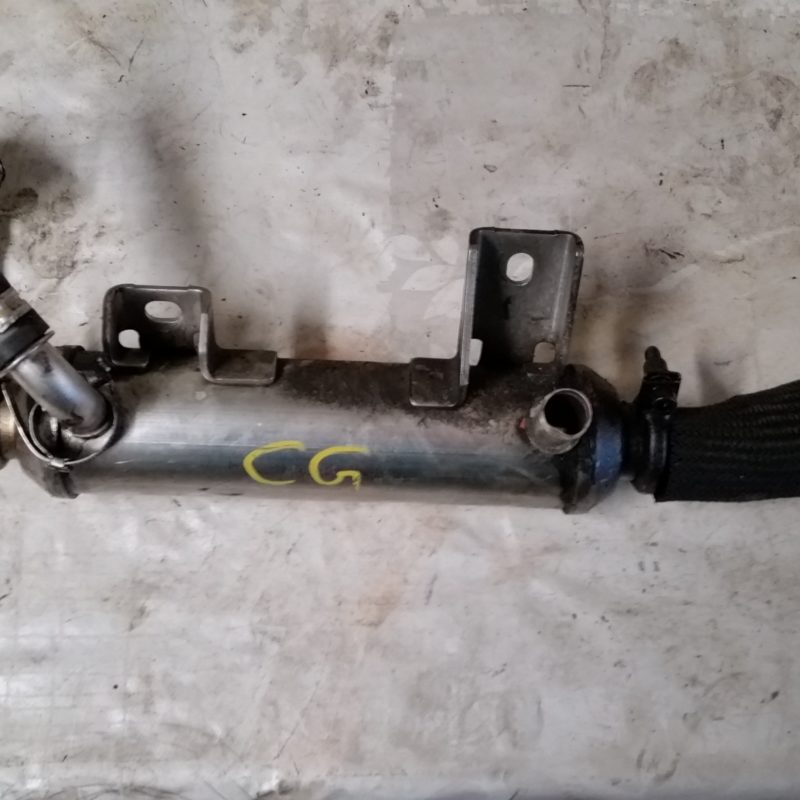 Refroidisseur EGR CF4 JTDm 16v/20v complet