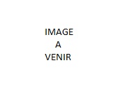 Lève vitre avant gauche NEUF 166
