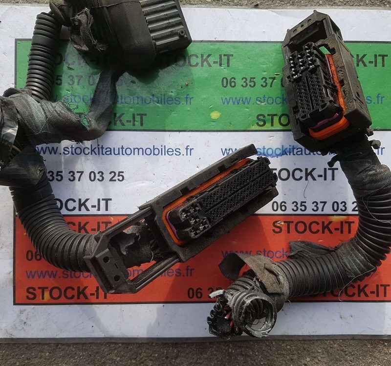 Jeu de connecteur ECU JTD 115 avec 20cm de cable