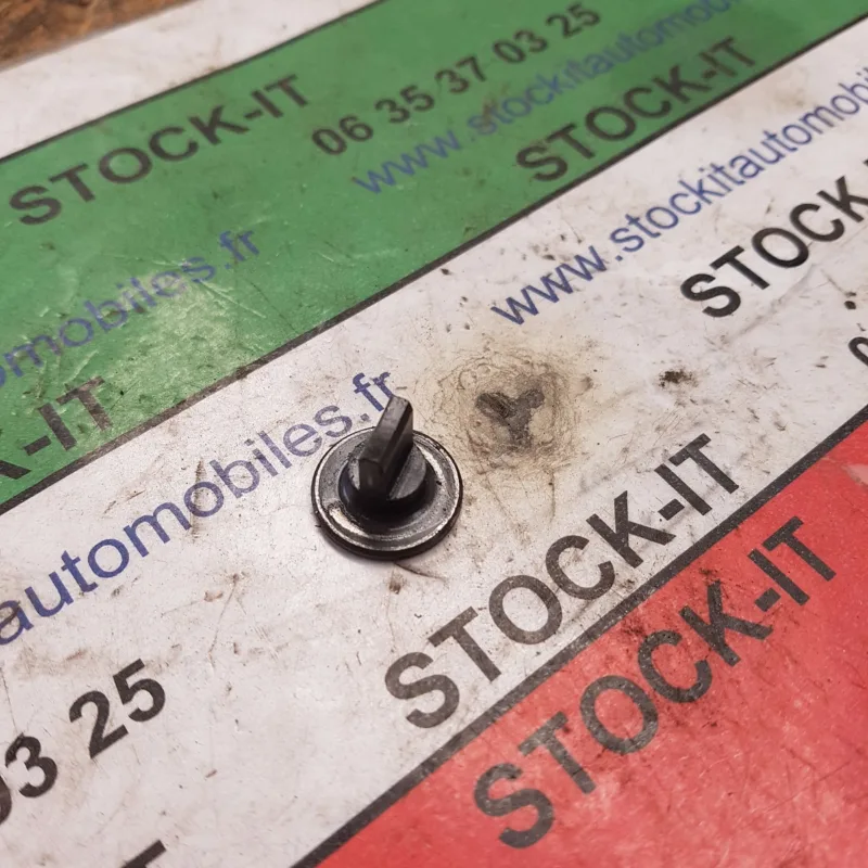 Piston-lamelle de sélection pour Robots Magneti-Marelli