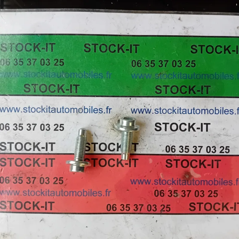 7769300 Vis fixation portière