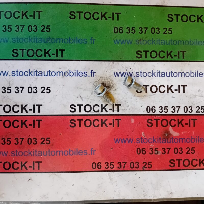 46754352 	VIS  portes latérales