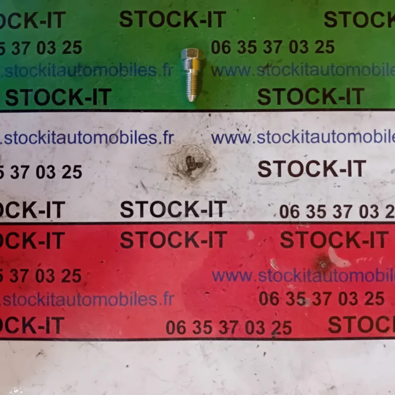 1314623080 VIS fixation tirant arrêt de porte