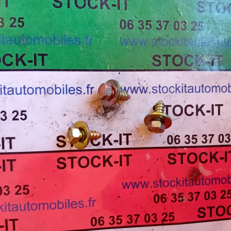 60522281 VIS sachet de 5 pièces
