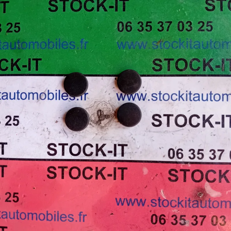 60570144 BOUCHON pour porte arrière sachet de 10