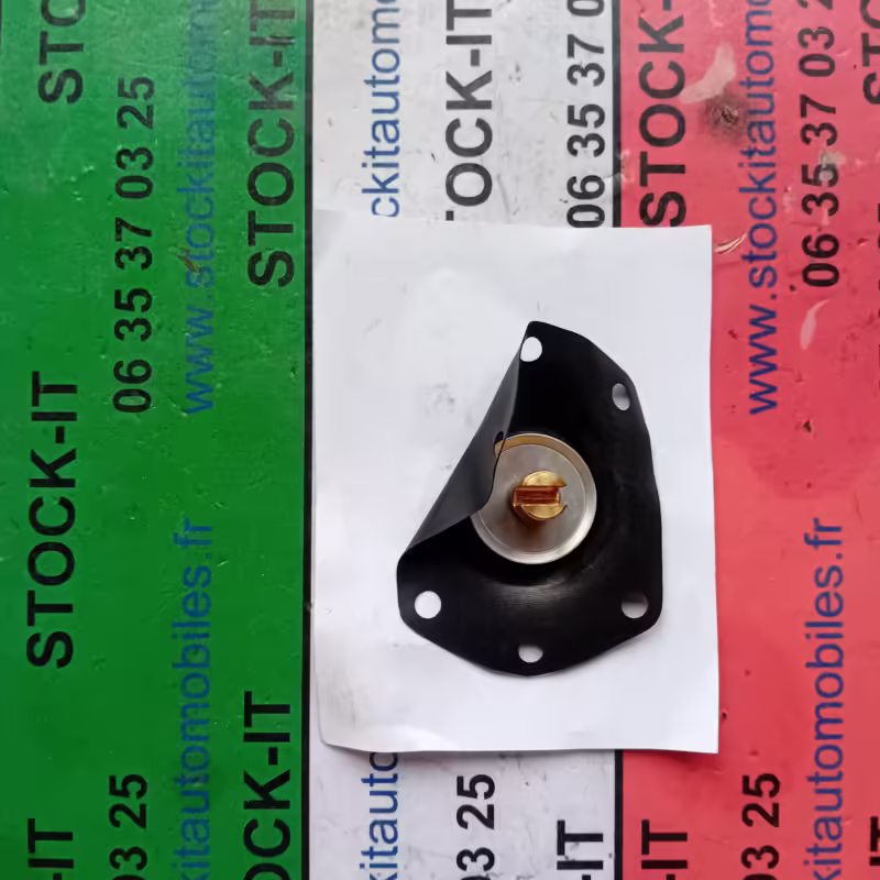60723127 	MEMBRANE