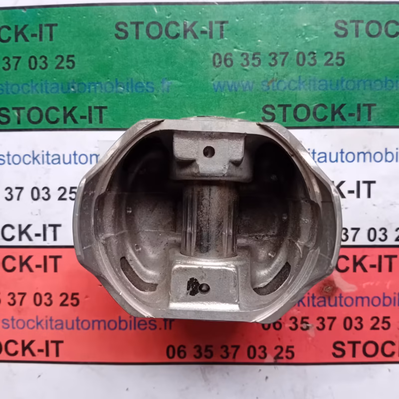 60750648 	PISTON, BAGUES