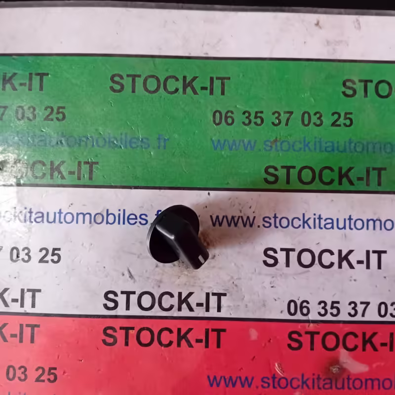 60770051 BOUTON
