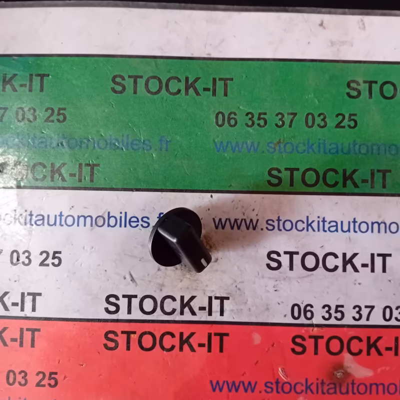60770051 BOUTON