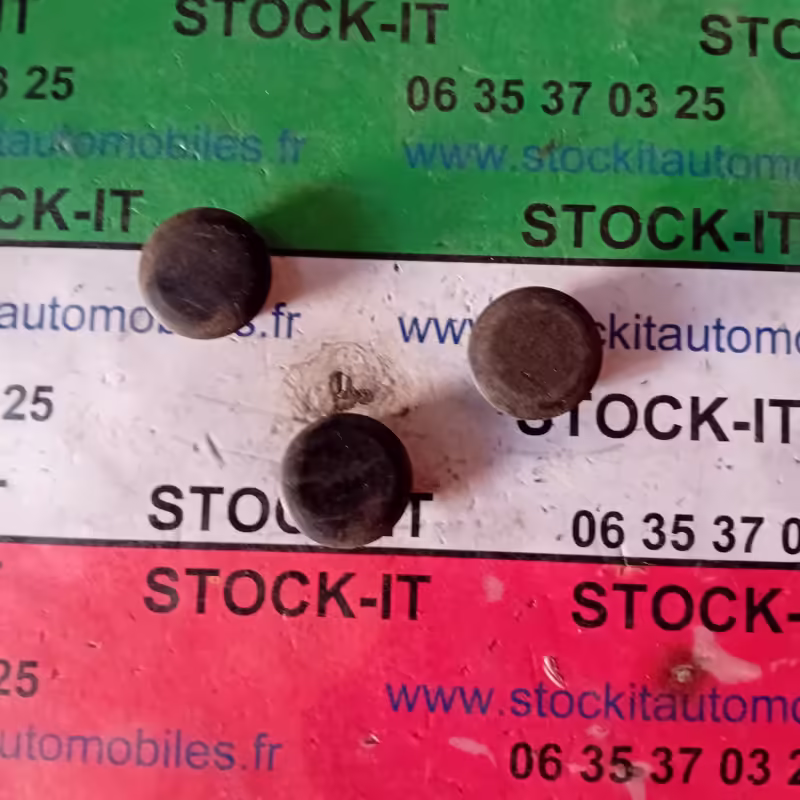 60523684 TAMPON CAOUTCHOUC (sachet de 8 pièces)