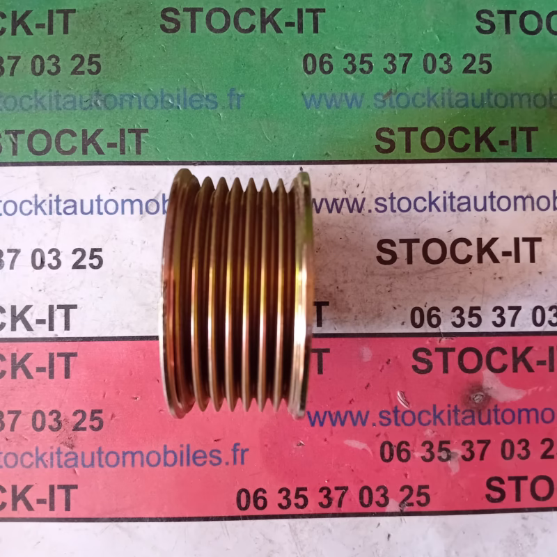 60542281 	POULIE ALTERNATEUR