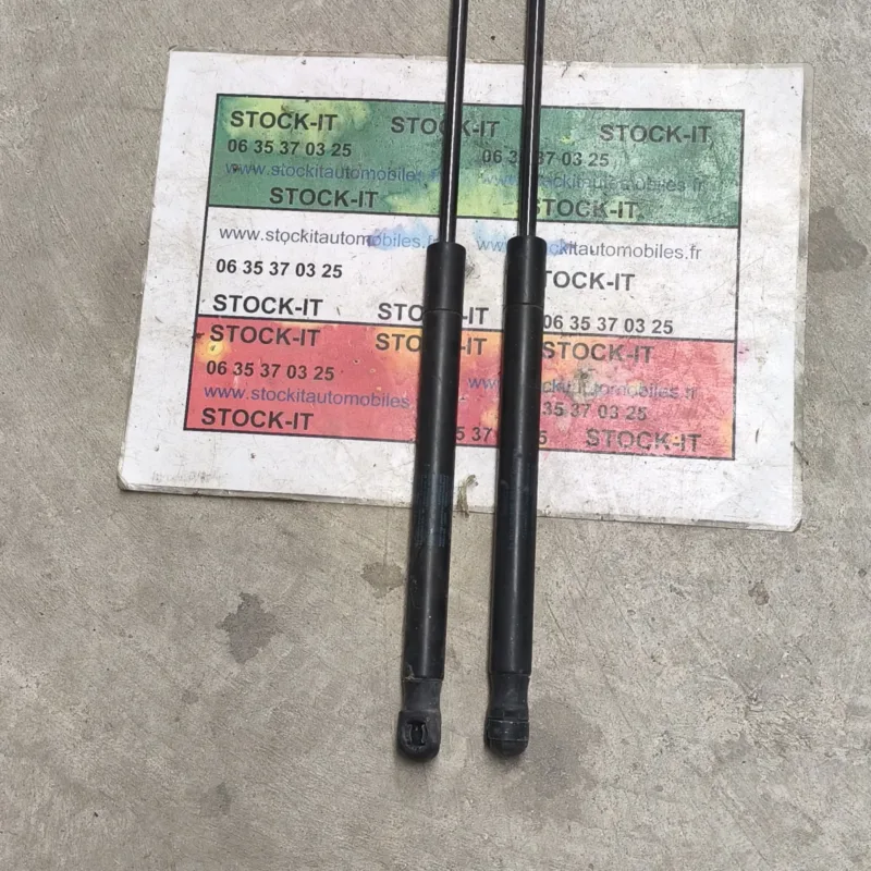 67726000 Maserati Quattroporte Vérins, capot-moteur (la paire)